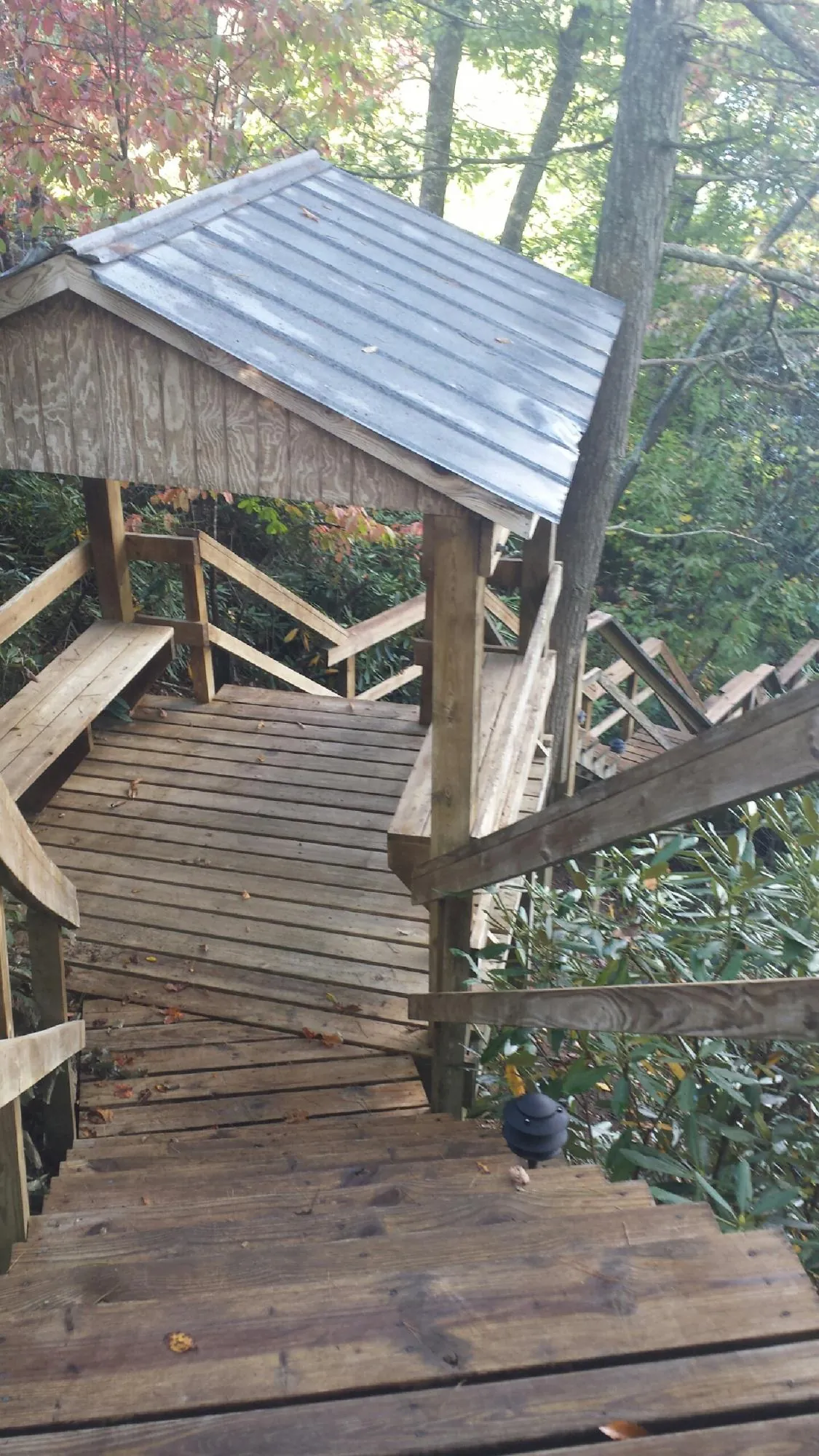 Metal roofed shelter over wooden steps on a wooded walkway — Skylight Repair & Installation work by our crew in Florahome